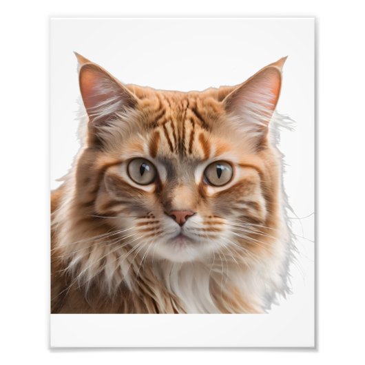 Majestic Orange Tabby Cat Portrait フォトプリント (正面)