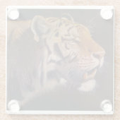Majestic Tiger ガラスコースター (裏面)