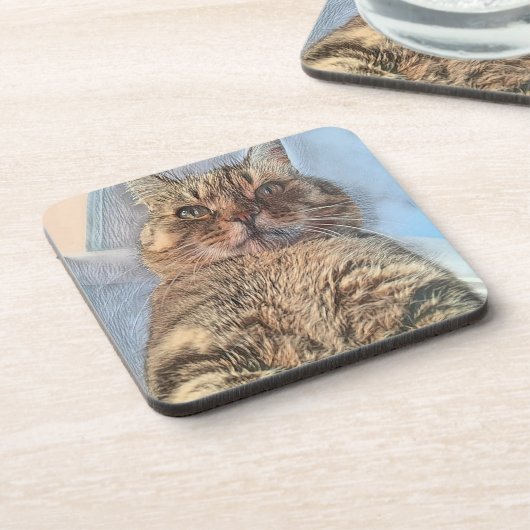 Majestic Tiger Cat  コースター (左側)