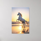 Majestic White Arabian Horse Sunset Beach キャンバスプリント (正面)