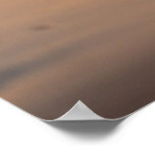 Majestic White Arabian Horse Sunset Beach ポスター (角)