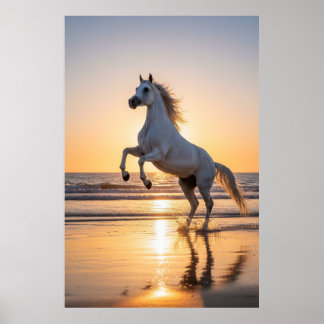 Majestic White Arabian Horse Sunset Beach ポスター