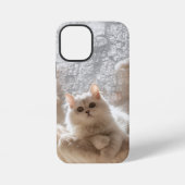 Majestic white cat iPhoneケース (裏面)
