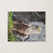 Majestic White Tailed Eagle Rugged Terrain Scenic  ジグソーパズル (横)