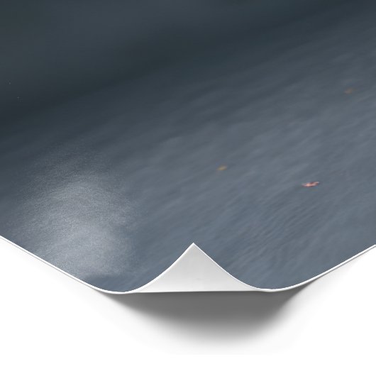 Majestic White Tiger ポスター (コーナー)