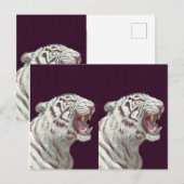 Majestic White Tiger – Postcard Design ポストカード (正面/裏面)