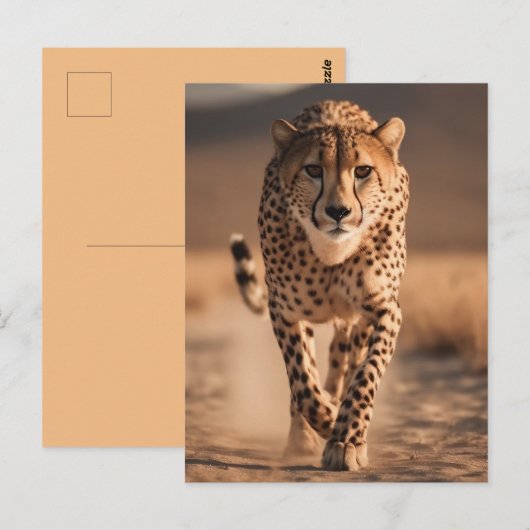Majestic Wild Cheetah Running Photo ポストカード (正面/裏面)