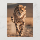 Majestic Wild Cheetah Running Photo ポストカード (正面)