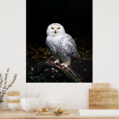 Majestic winter snowy owl ポスター (キッチン)