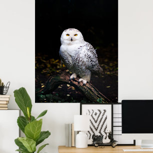 Majestic winter snowy owl ポスター