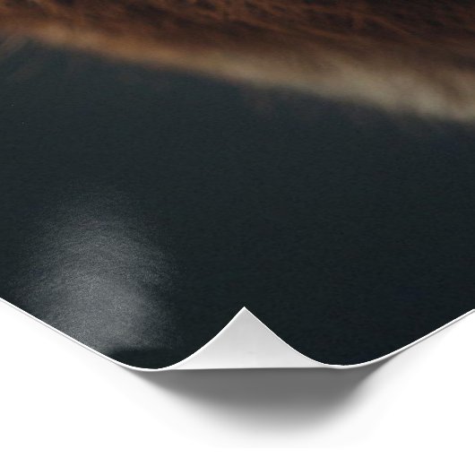 Majestic Wolf Portrait Strength & Royal Confidence ポスター (コーナー)