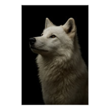 Majestic Wolf Portrait Strength & Royal Confidence