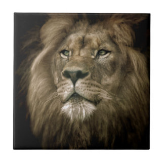 Majesty.jpg タイル