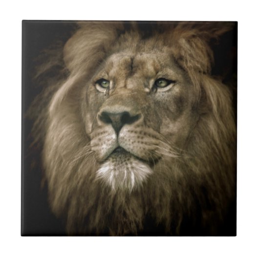 Majesty.jpg タイル (正面)