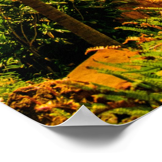 Makauwahi Cave Palm Trees, Kauai, Hawaii ポスター (角)