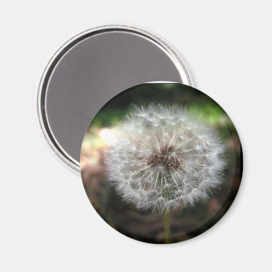 Make a Wish – マグネット (正面/裏面)