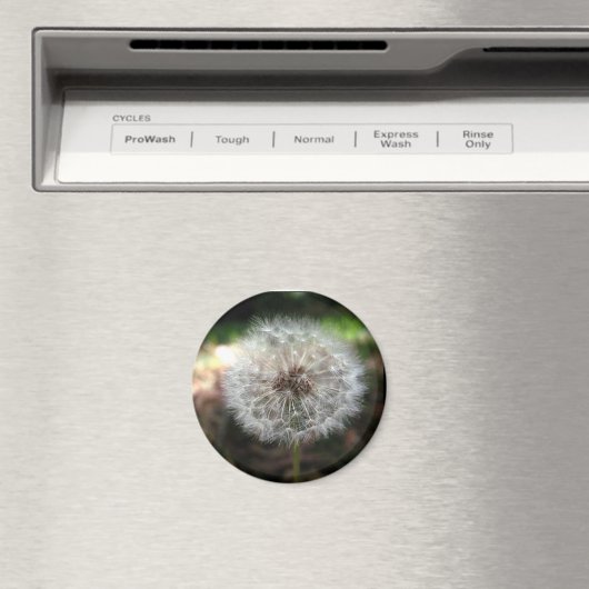 Make a Wish – マグネット (インサイチュ (食洗機))