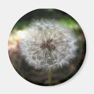 Make a Wish – マグネット