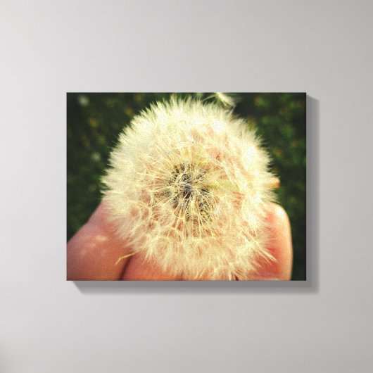 "Make a Wish" Dandelion Seed Head Canvas Print キャンバスプリント (正面)
