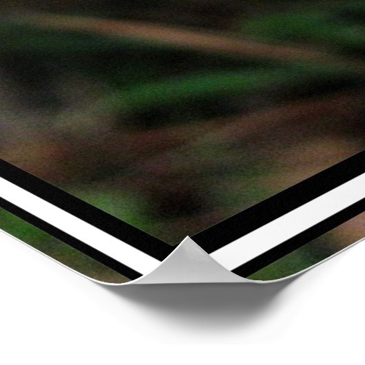 Make a Wish - Poster ポスター (角)