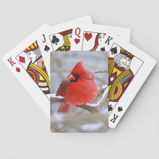 Make_Cardinal_Cards トランプ (裏面)