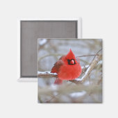 Make_Cardinal_Magnet マグネット (正面/裏面)