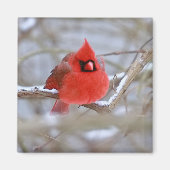 Make_Cardinal_Magnet マグネット (正面)