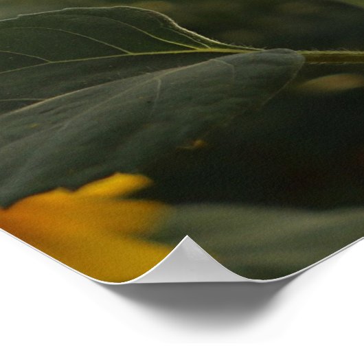 "Make Everyday Count" Positive Quotation Wall art ポスター (角)