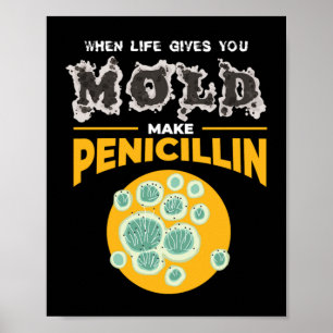 Make Penicillin Microbiology Chemistry ポスター