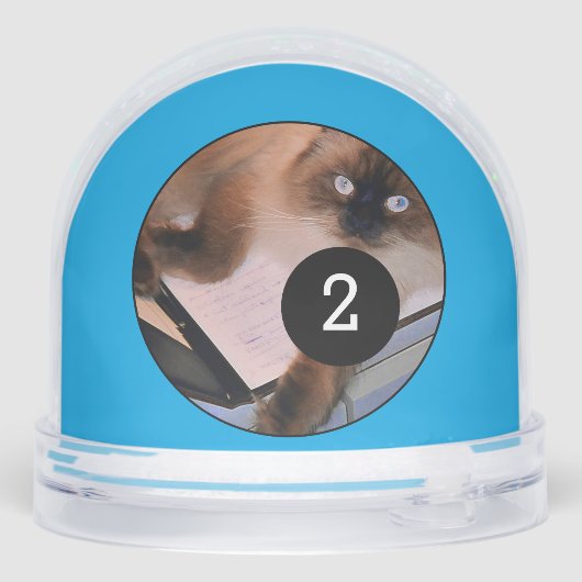 Make Your Own photo globe two pictures Blue (裏面)