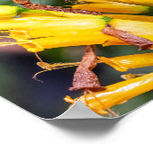 Making Contact ポスター (角)