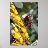 Making Contact ポスター (正面)