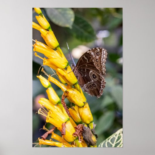 Making Contact ポスター (正面)