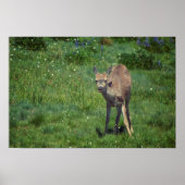 Making Face ポスター (正面)