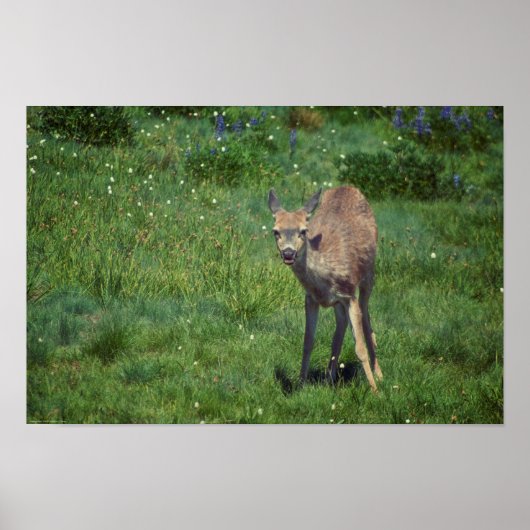 Making Face ポスター (正面)