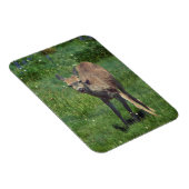 Making Face マグネット (右側)