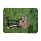 Making Face マグネット (横)