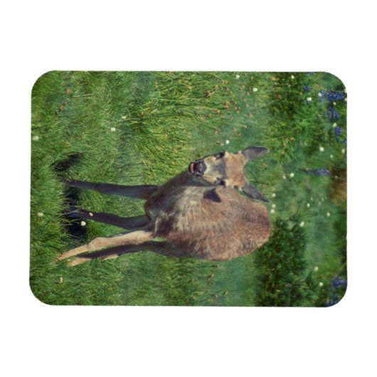 Making Face マグネット (横)