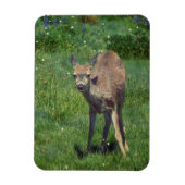 Making Face マグネット (縦)