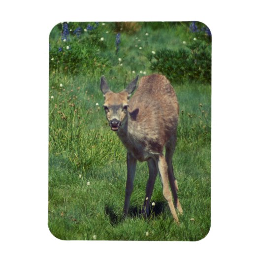 Making Face マグネット (縦)