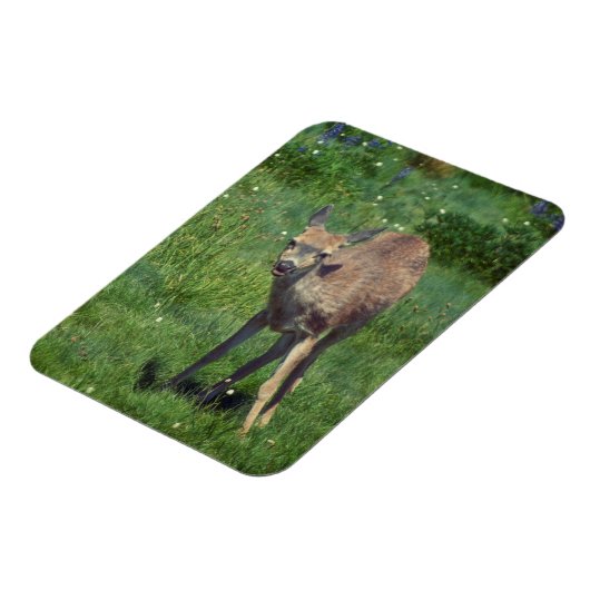 Making Face マグネット (左側)