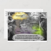 Making The Invisible Visible ポストカード (正面/裏面)