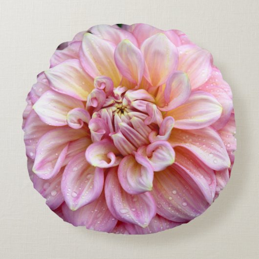 Makroaufnahme einer rosa Dahlie ラウンドクッション (正面)