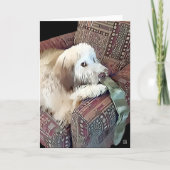 MALACHIのheARTdog Whoodle カード (正面)