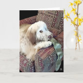 MALACHIのheARTdog Whoodle カード (黄色い花)