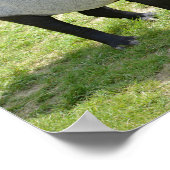 Malayan tapirs on grass ポスター (角)