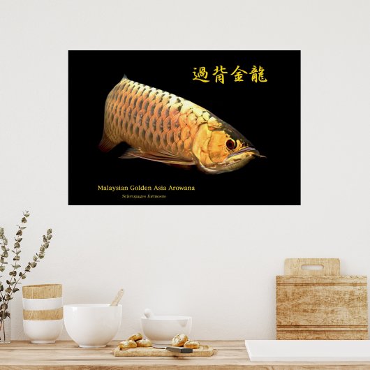 Malaysian Golden Arowana ポスター (キッチン)