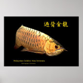 Malaysian Golden Arowana ポスター (正面)