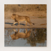 MALE LION REFLECTED ジグソーパズル (縦)