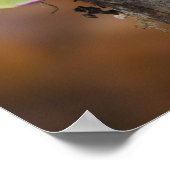 Male Luna Silk Moth of North American ポスター (角)